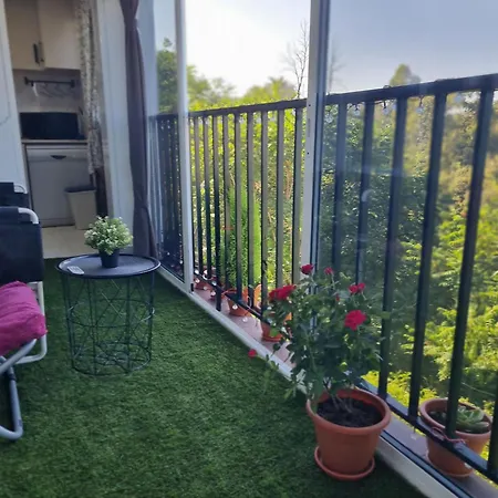 Buenas Vistas Apartamento